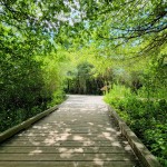 Outdoor Discovery Center Holland Michigan Boardwalk Trail
