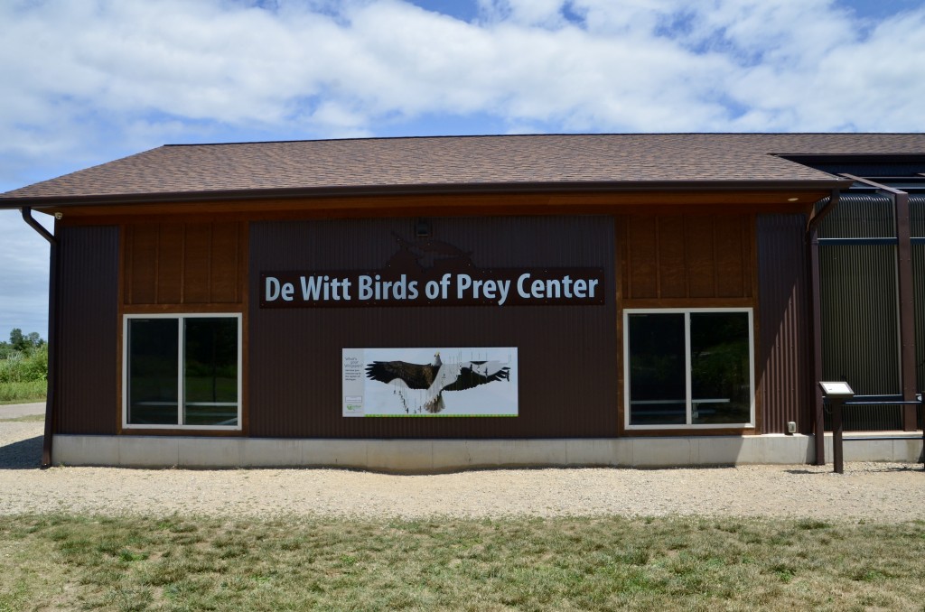 Outdoor Discovery Center Holland Michigan Dewitt Birds of Prey Center