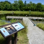 Outdoor Discovery Center Holland Michigan Fishin Pond Compagner