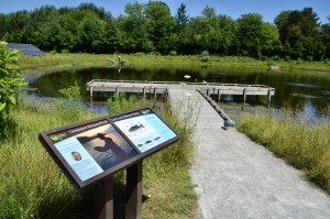 Outdoor Discovery Center Holland Michigan Fishin Pond Compagner