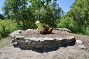 Outdoor Discovery Center Holland Michigan Frog Sculpture