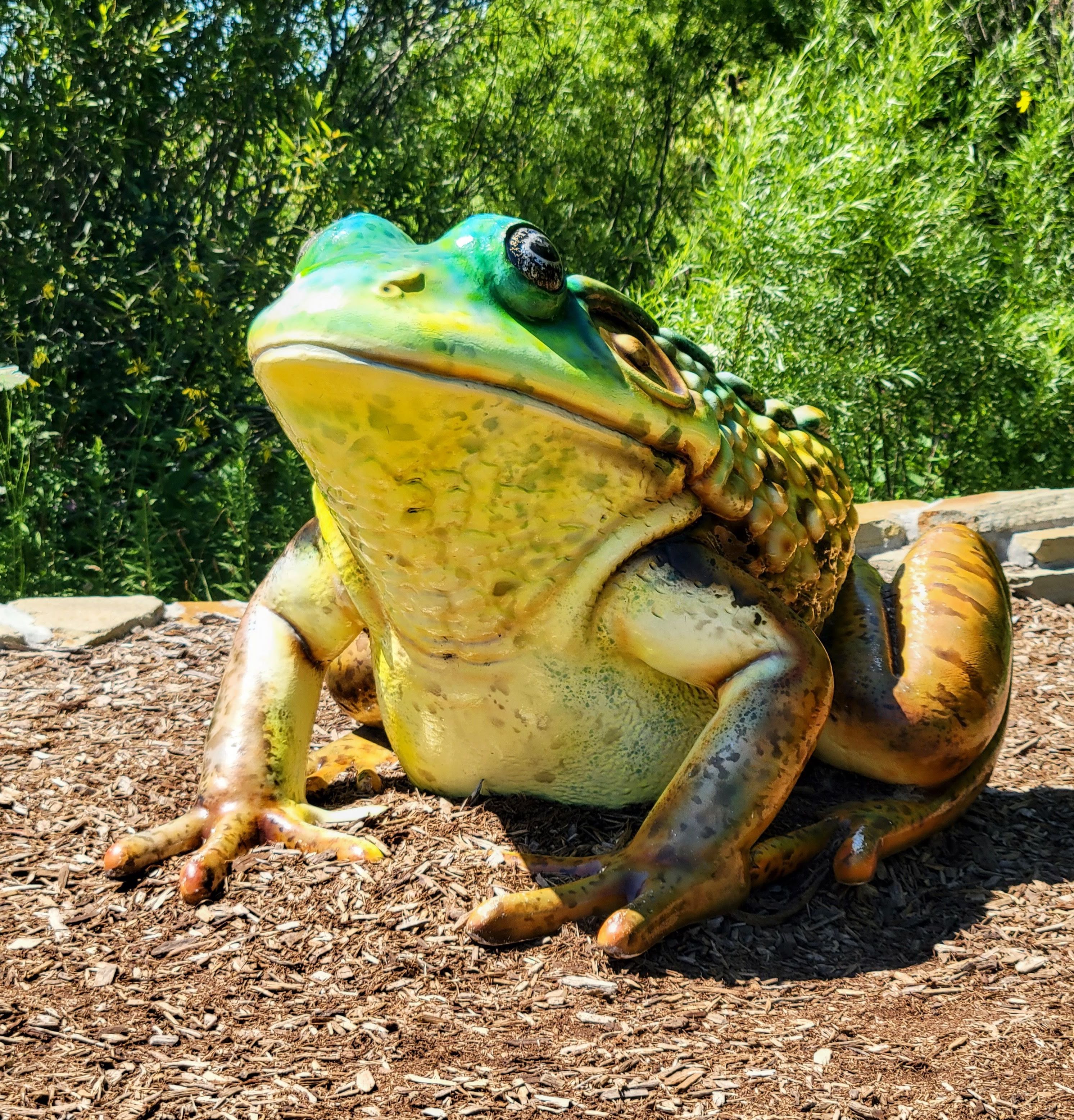 Outdoor Discovery Center Holland Michigan Frog Scultpure