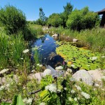 Outdoor Discovery Center Holland Michigan Visitor Center Pond