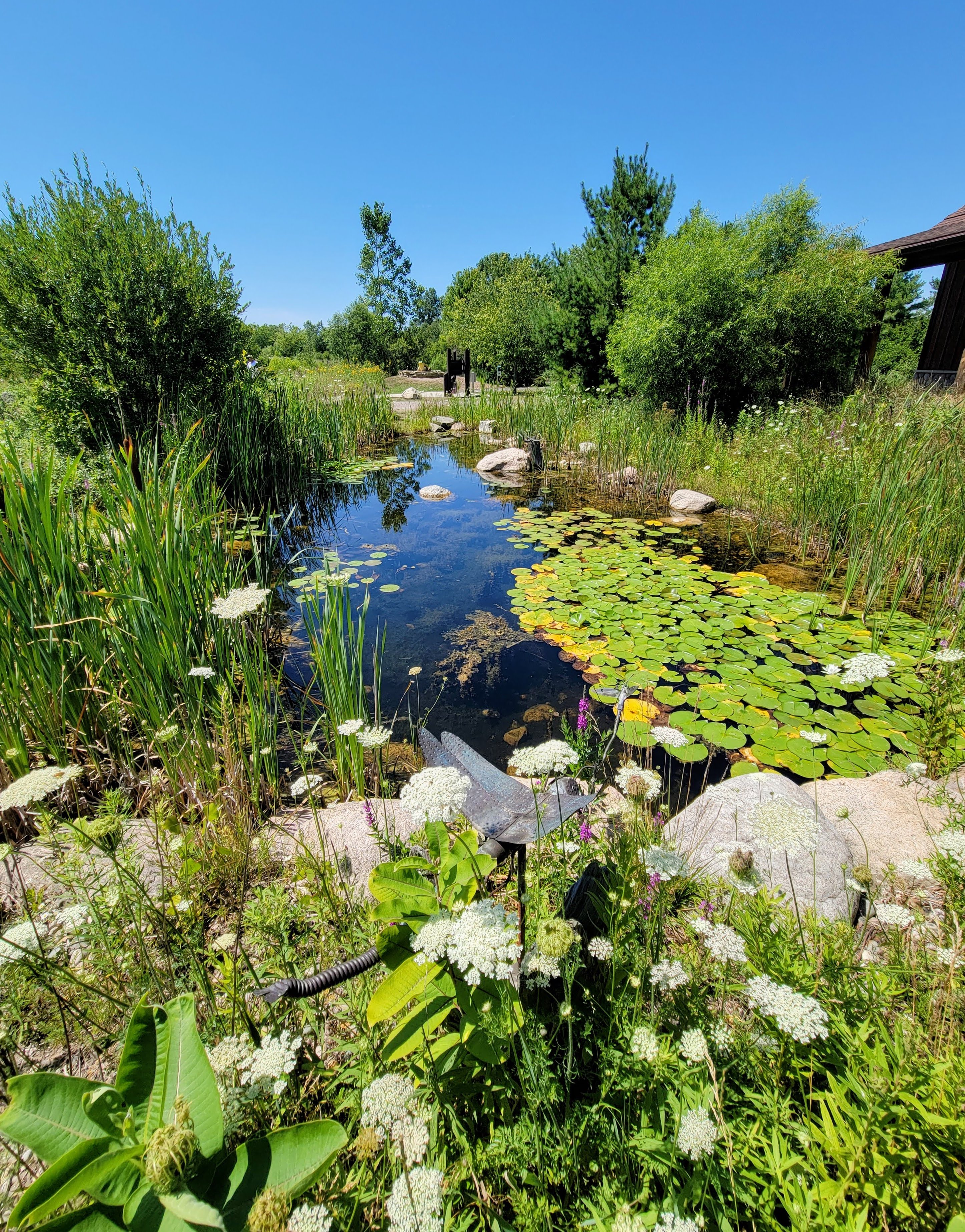 Outdoor Discovery Center Holland Michigan Visitor Center Pond