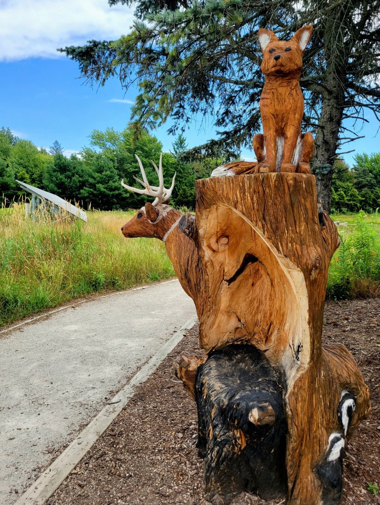 Outdoor Discovery Center Holland Michigan Wood Carving Sculpture