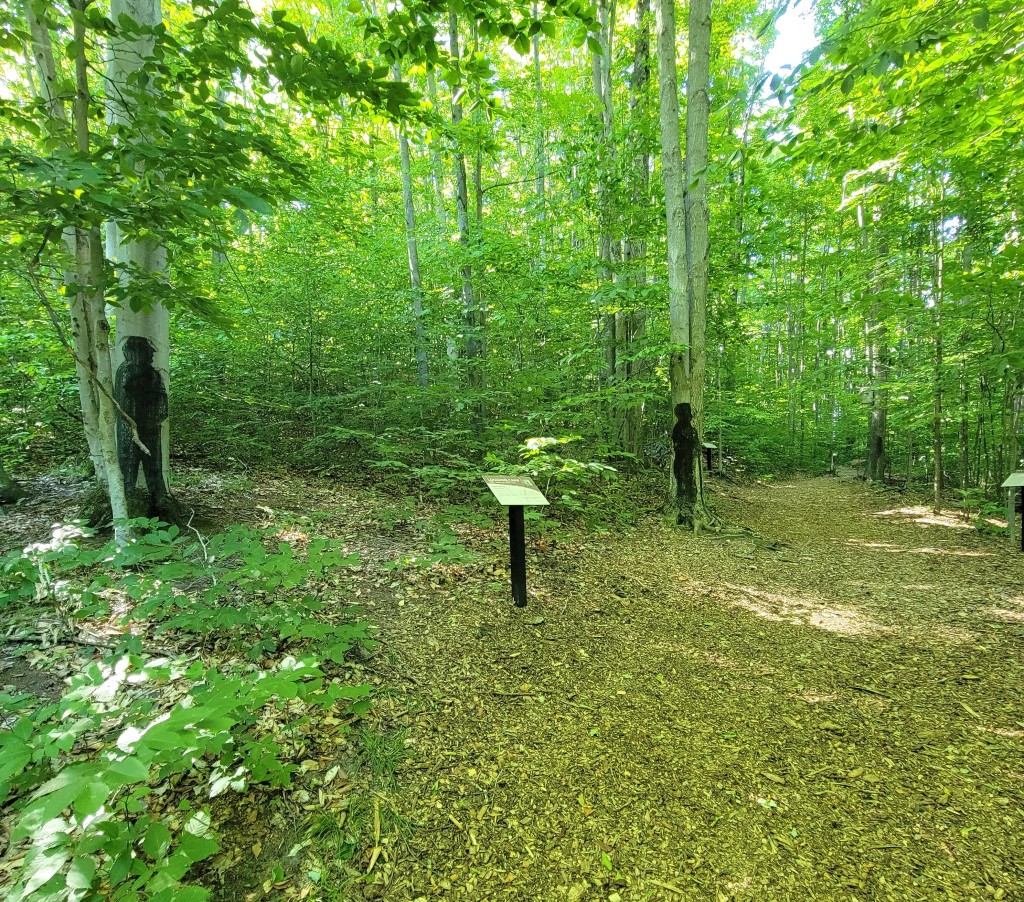Michigan Legacy Art Park Walking Path Logging Camp Thompsonville