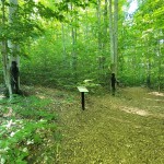 Michigan Legacy Art Park Walking Path Logging Camp Thompsonville