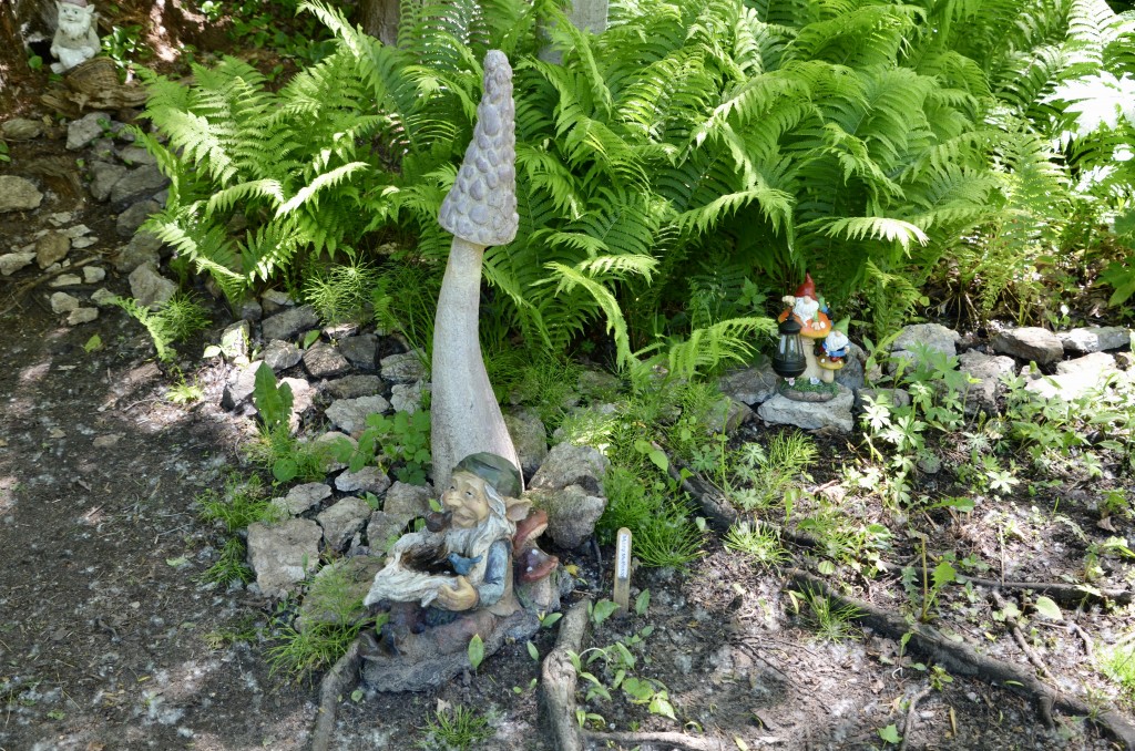 Horseshoe Falls Gnome Hunt 3