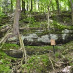 Horseshoe Falls Rock Formations Munising Michigan