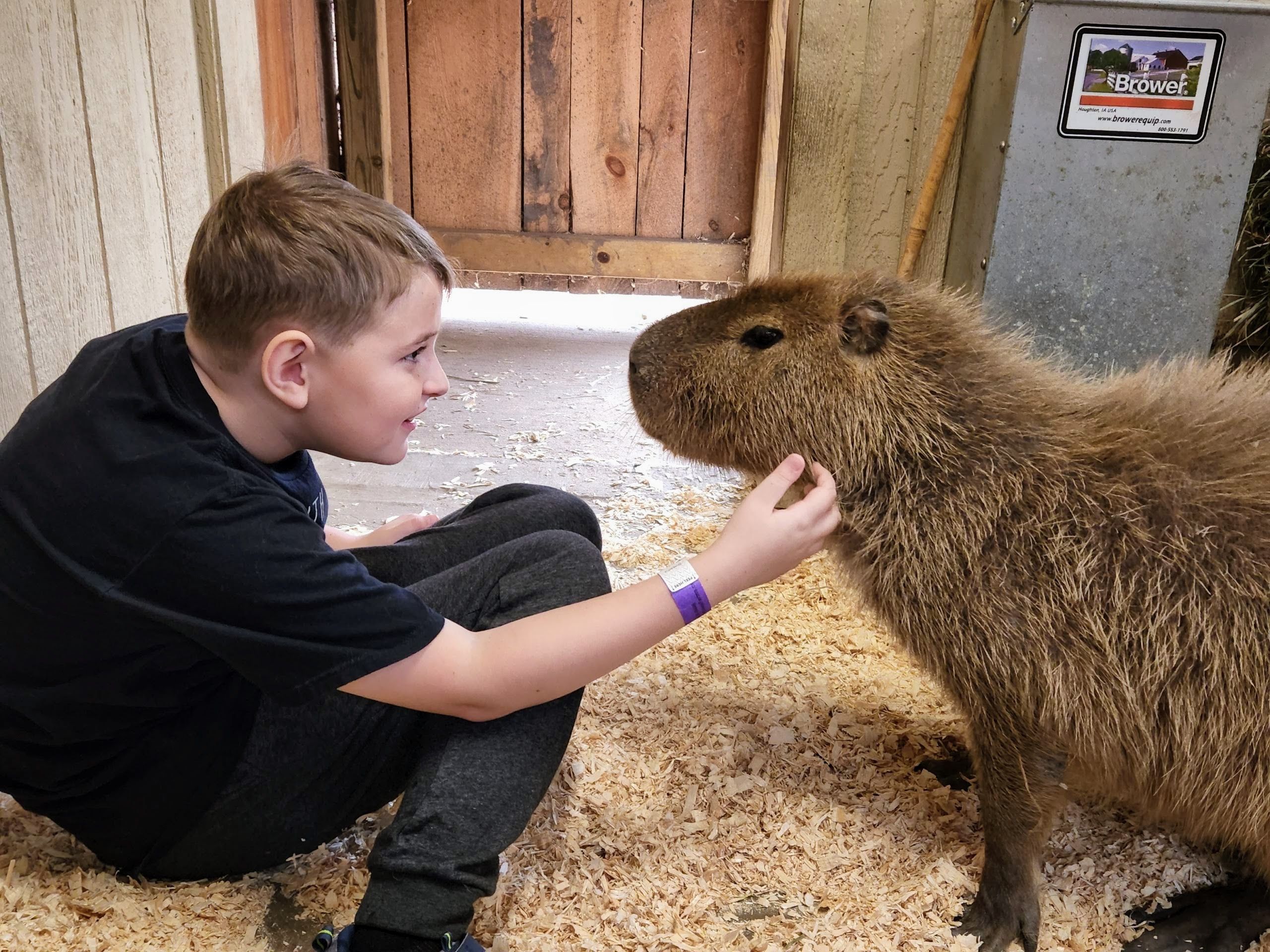 Lewis Adventure Farm & Zoo Capybara Zoopkeeper Experience Michigan