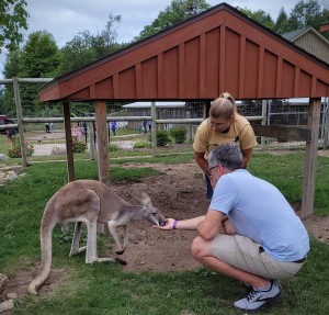 Lewis Adventure Farm & Zoo Kangaroo Feeding Experience
