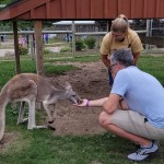 Lewis Adventure Farm & Zoo – Amazing Animal Encounters and Family Fun (Photo Gallery)