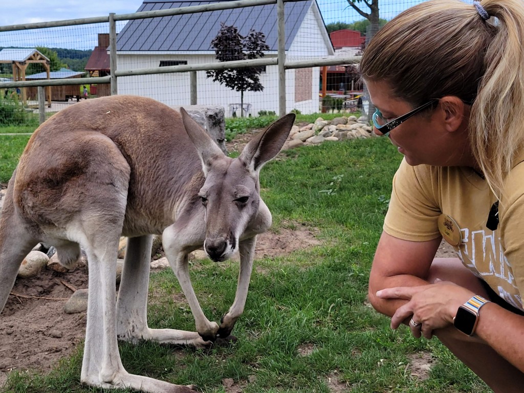 Lewis Adventure Farm & Zoo Kangaroo With Zookeeper