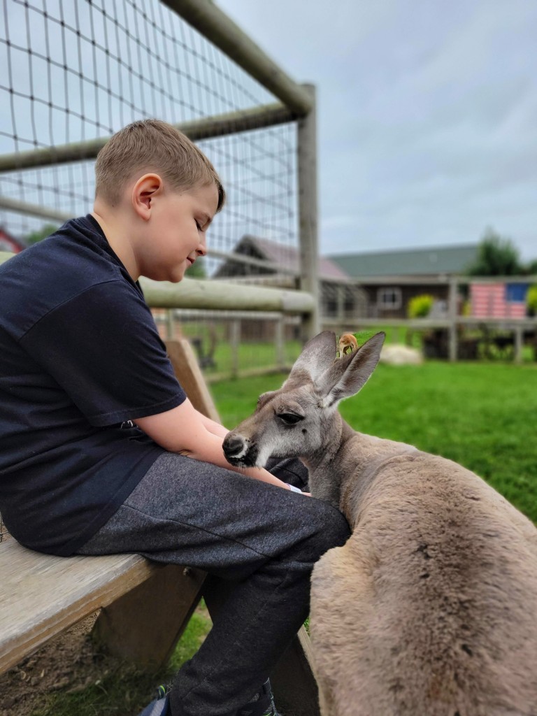 Lewis Adventure Farm & Zoo Kangaroo Zookeeper Experience Michigan