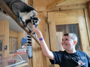 Lewis Adventure Farm & Zoo New Era Lemur Feeding Experience