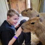 Lewis Adventure Farm & zoo Capybara Zookeeper Experience Happy