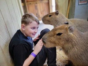 Lewis Adventure Farm & zoo Capybara Zookeeper Experience Happy