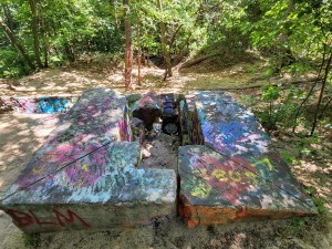 Sanctuary Woods Preserve Holland MI Rocks Grafitti