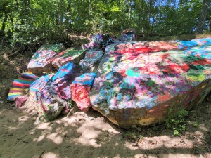Sanctuary Woods Preserve Holland Michigan Dune Graffiti