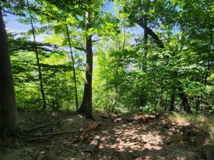Sanctuary Woods Preserve Holland Michigan Lake Macatawa