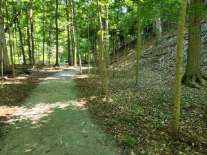 Sanctuary Woods Preserve Park Michigan Hiking Trail