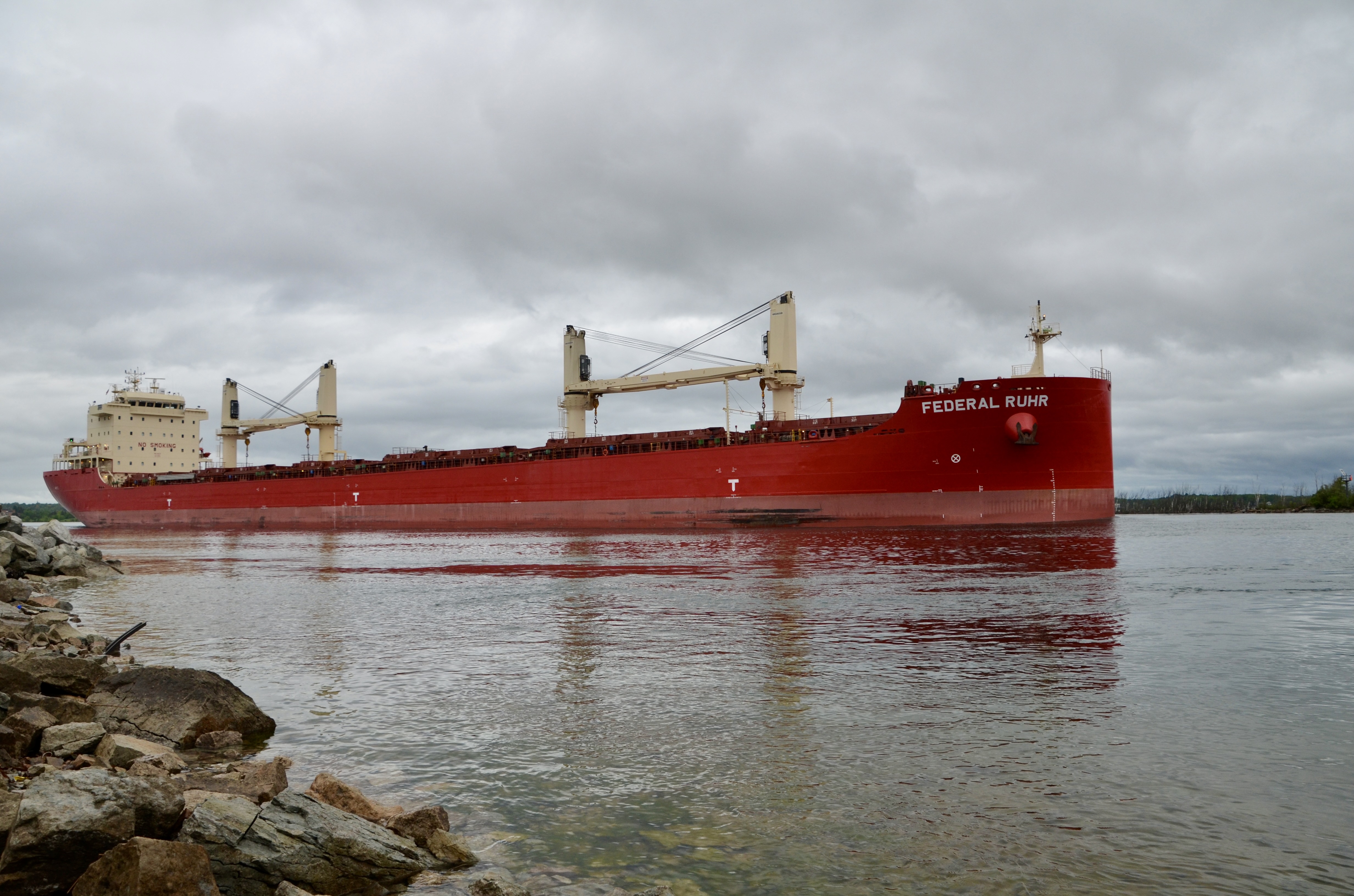 Federal Ruhr downbound at Rotary Park in Sault Ste. Marie, June