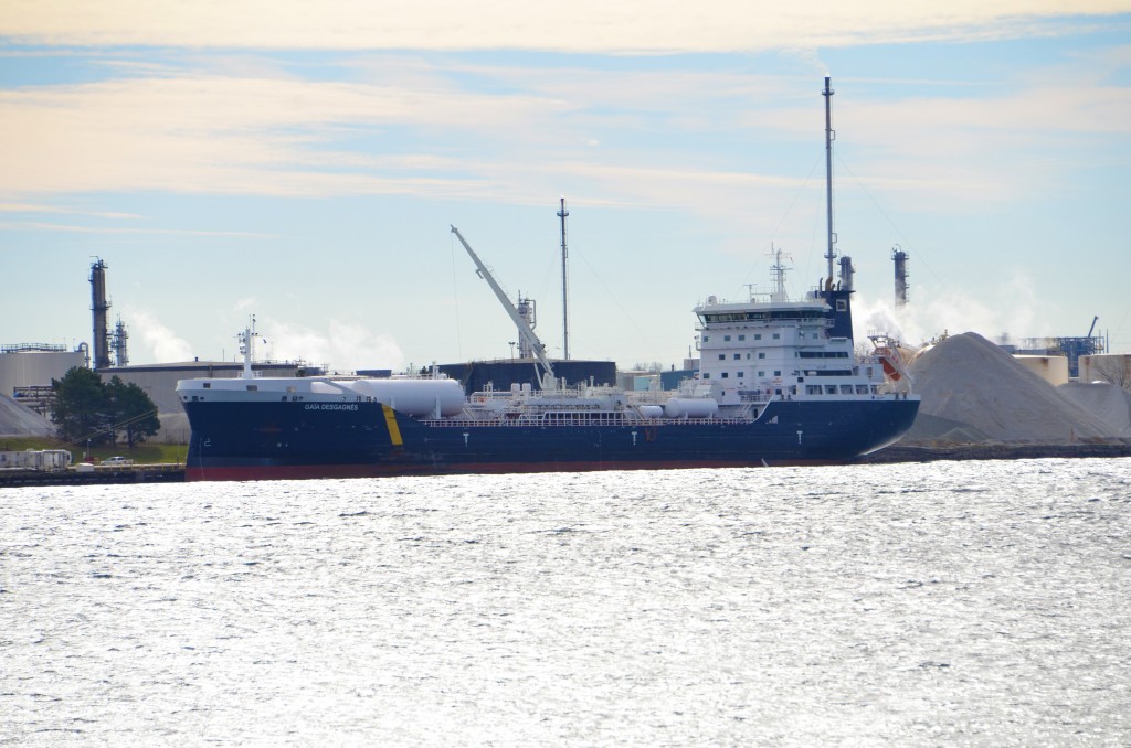 Gaia Desgagnes at Sarnia, viewed from Port Huron, November