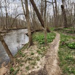 Dolan Nature Sanctuary (Michigan Nature Association): Scenic Hiking Beside the Coldwater River