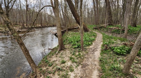 Dolan Nature Sanctuary (Michigan Nature Association): Scenic Hiking Beside the Coldwater River