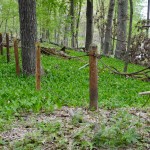 Asylum Lake Preserve Kalamazoo Old Fence Posts