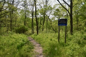 Black River Preserve South Haven Blue Trail