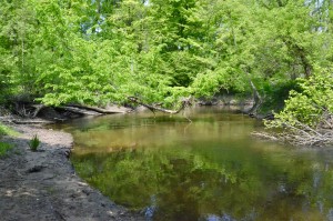 Black River Preserve South Haven Michigan