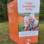 Tulip Immersion Garden 2023 Holland Michigan 7