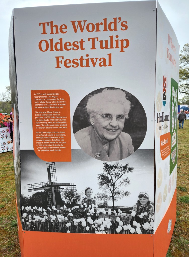 Tulip Immersion Garden Worlds Oldest Festival Holland Michigan