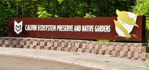 Calvin Ecosystem PReserve and Native Gardens Michigan