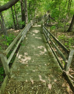 Calvin Ecosystem Preserve Native Gardens Hiking Trail Bridge