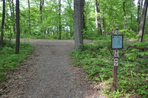 Highland State Recreation Area Trail Intersection 5 and 6