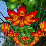 John Ball Zoo Lantern Festival 2023 Flowers 2