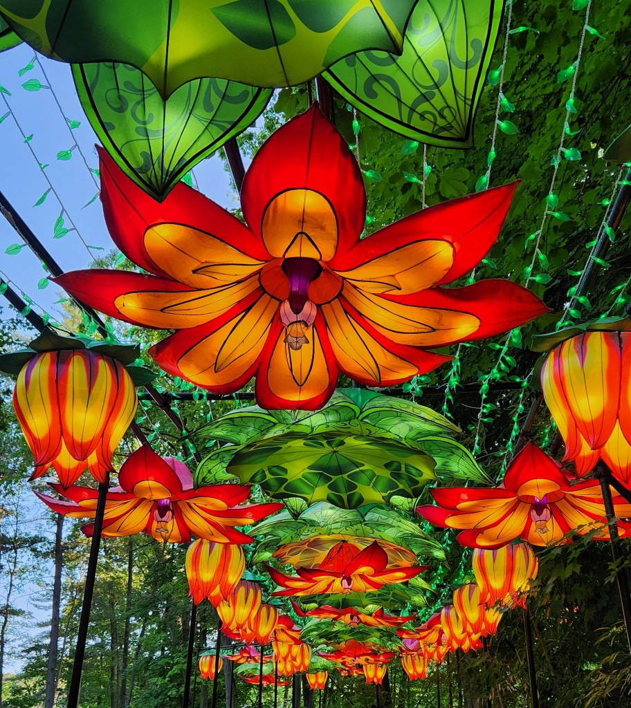 John Ball Zoo Lantern Festival 2023 Flowers 2
