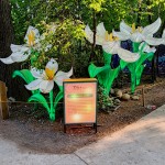 John Ball Zoo Lantern Festival 2023 Flowers 3