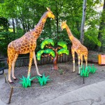 John Ball Zoo Lantern Festival 2023 Giraffes