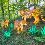 John Ball Zoo Lantern Festival 2023 Tigers
