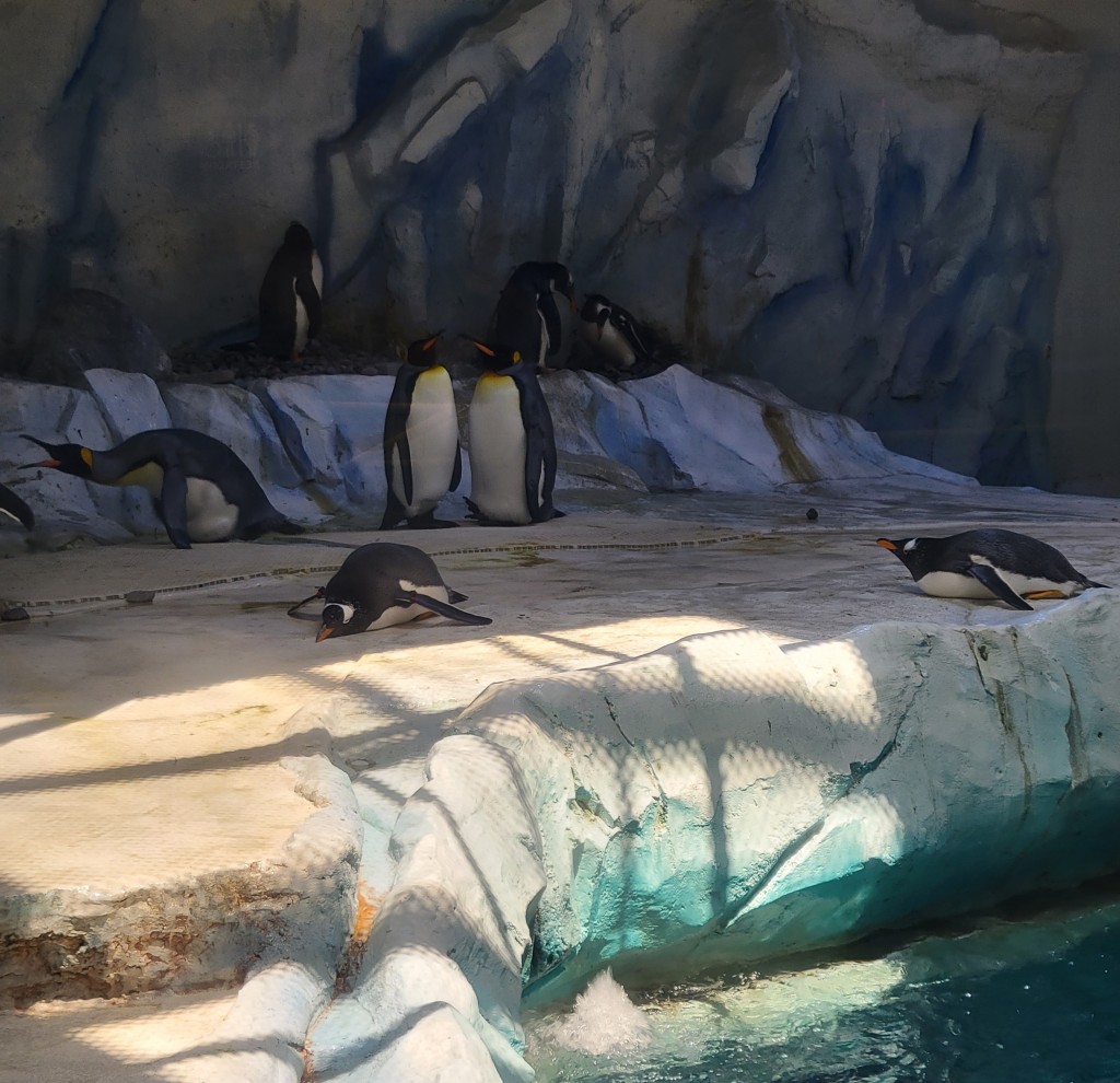 Detroit Zoo Penguin Party 2023
