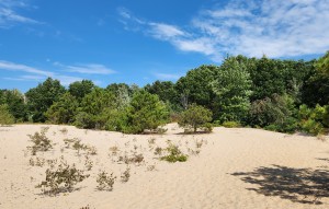 Houdek Dunes Natural Area Leelanau Sand Trail