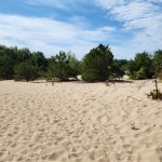 Michigan Trail Tuesday: Houdek Dunes Natural Area, Leland