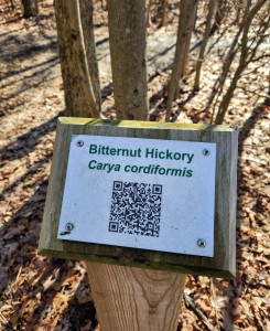 Hudsonville Nature Center Tree Identification