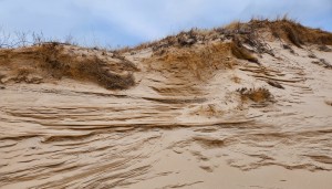Ludington State Park Dunes 2024