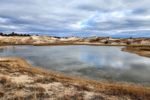 Ludington State Park Dunes and Pond 2024