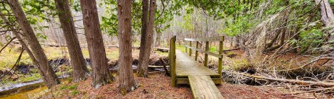 Michigan Trail Tuesday: Cosner & Bennett-Barnes Nature Preserve, Antrim County