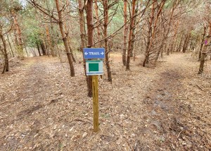 Cosner & Bennett-Barnes Nature Preserve Trail Split